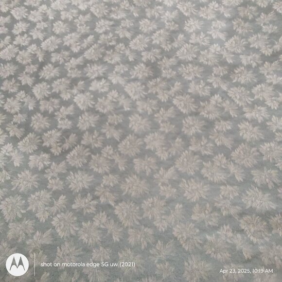 SFERRA GRETA QUEEN FLAT SHEET TWO STANDARD SHAMS  EGYPTIAN COTTON SEAMIST ITALY - Picture 7 of 9